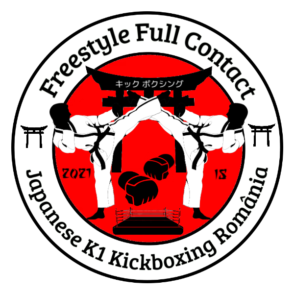 🇷🇴Freestyle Full Contact Japanese K1 Kickboxing