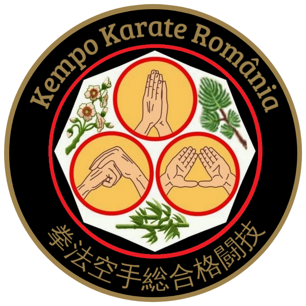 🇷🇴Kempo Karate
